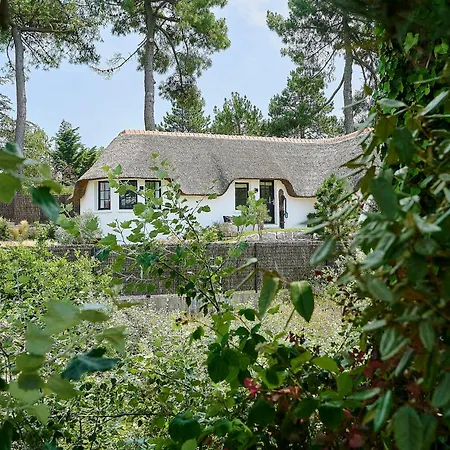 Chaumiere De Charme Avec Jacuzzi - Proche Touquet *